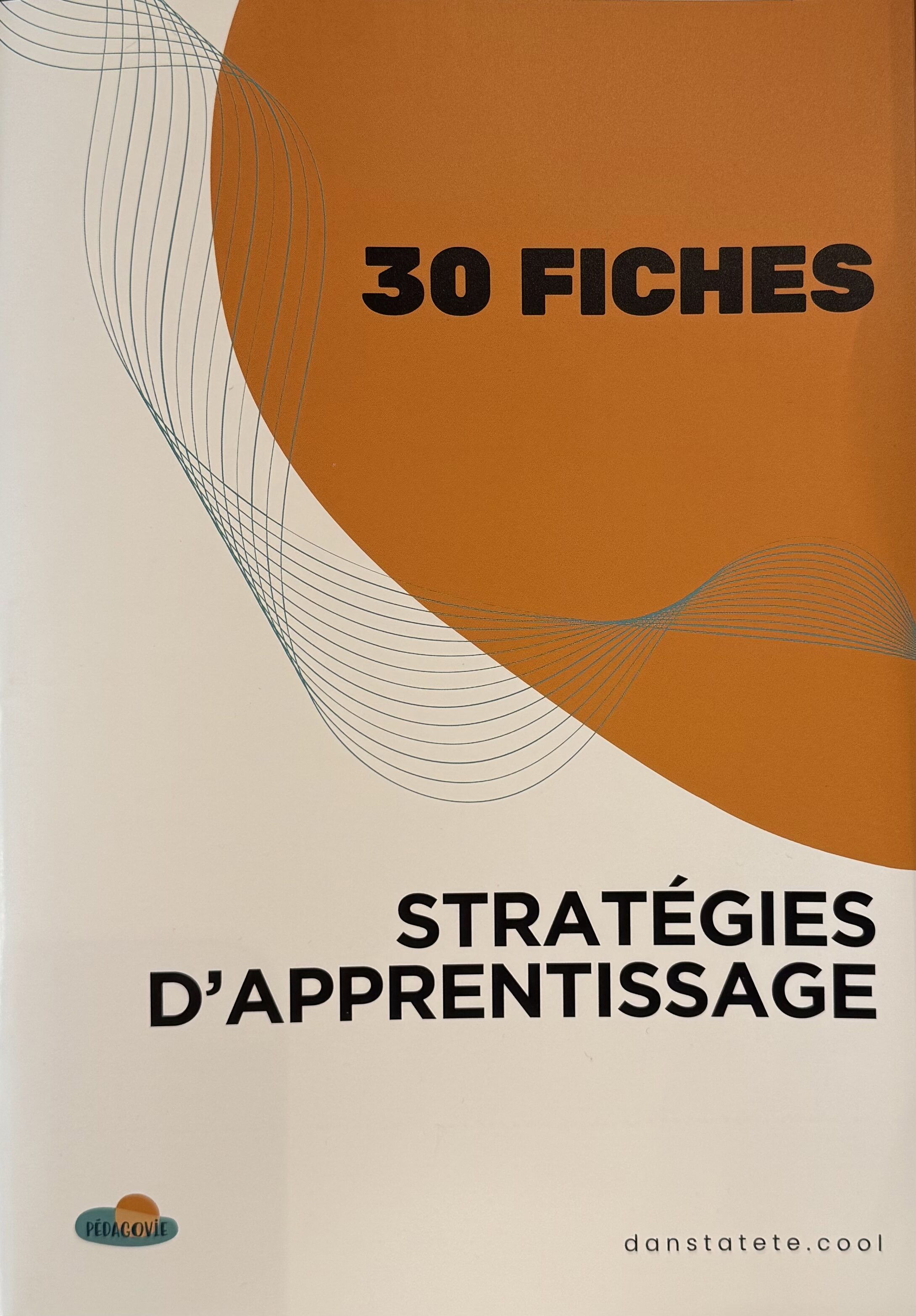 Le Cahier de Stratégies d'Apprentissages pour réussir
