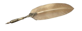 PLUME avec pointe métal